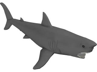 Shark Great White 3D Model