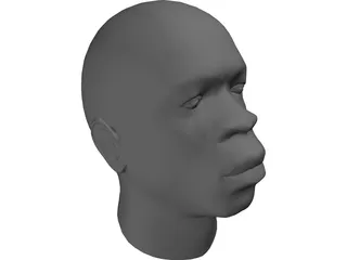 Head African Male 3D Model
