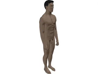 Man 3D Model