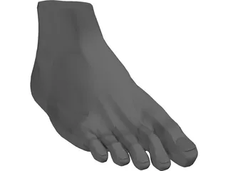 Foot 3D Model