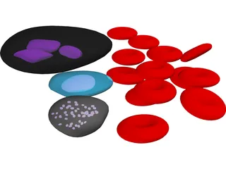 Blood Cells 3D Model