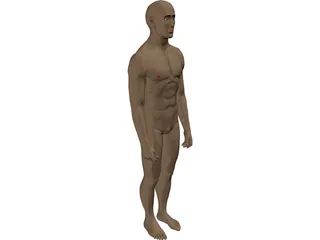 Man 3D Model