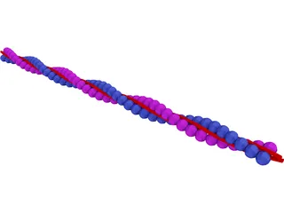 Actin DNA Strand 3D Model