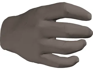 Hand Male 3D Model