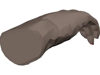 Hand Female 3D Model