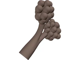 Alveoli 3D Model