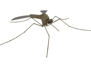 Mosquito 3D Model