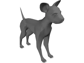 Chihuahua 3D Model