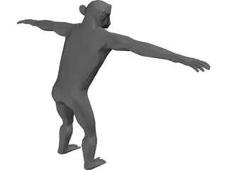Chimpanzee 3D Model