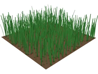 Grass 3D Model