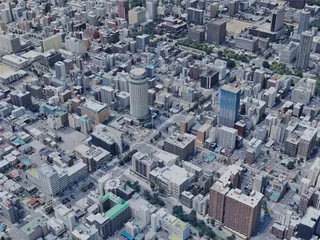 Sapporo City, Japan (2022) 3D Model