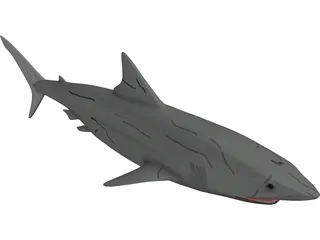 Great White Shark 3D Model