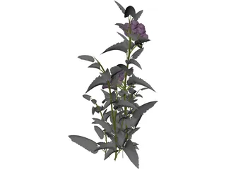 Plant 3D Model