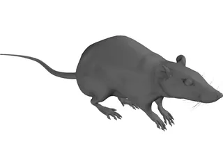 Rat House 3D Model