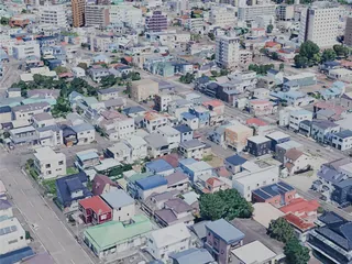 Hakodate City, Japan (2025) 3D Model preview