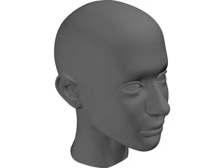 Head 3D Model