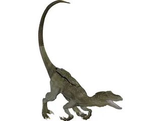 Raptor 3D Model