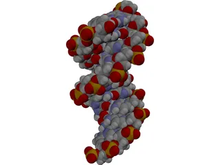 B-DNA 3D Model