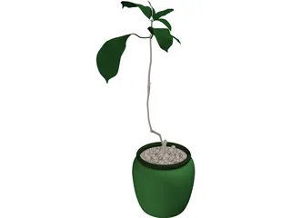 Plant 3D Model