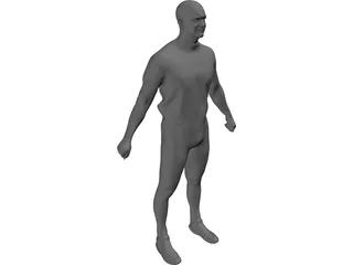 Human 3D Model