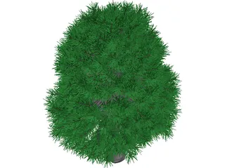 Tree 3D Model