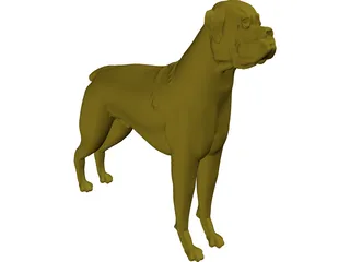 Dog Boxer 3D Model