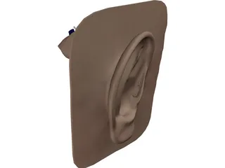 Ear 3D Model