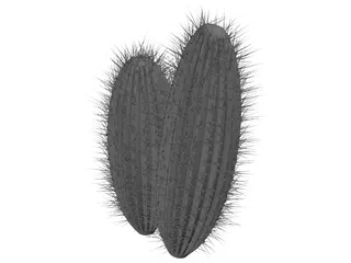 Cactus 3D Model