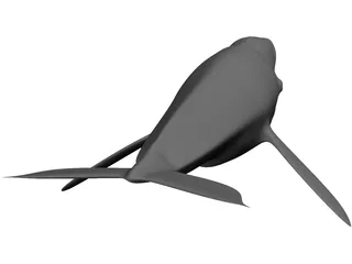 Whale 3D Model