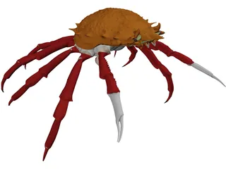 Crab (Maia Squinado) 3D Model