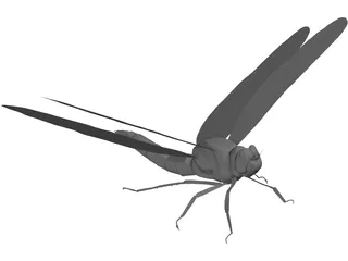 Dragon Fly 3D Model