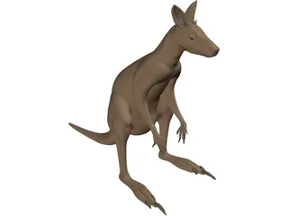 Kangaroo 3D Model