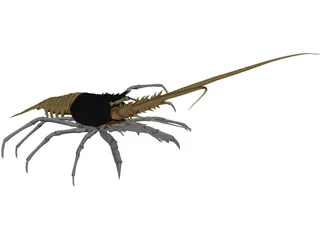 Lobster (Palinurus Elephas) 3D Model