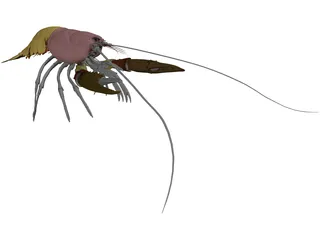 Lobster (Homarus Gammarus) 3D Model