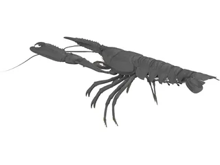 Lobster (Nephrops Norvegicus) 3D Model