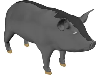 Pig 3D Model