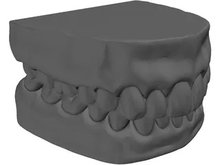 Teeth mold Scan 3D Model $35 - .obj - Free3D