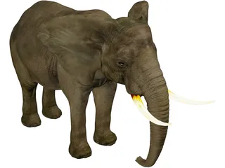 Elephant African Male 3D Model