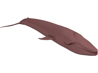 Whale Blue 3D Model