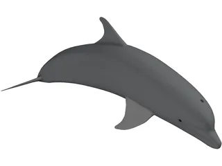 Dolphin Bottle-Nosed 3D Model