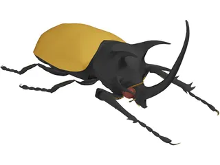 Eupatorus Gracilicornis 3D Model