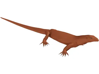 Lizard 3D Model