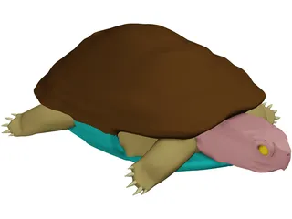 Turtle (Terrapene Ornata) 3D Model