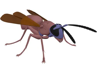 Wasp 3D Model