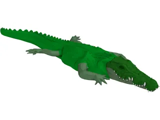 Crocodile 3D Model