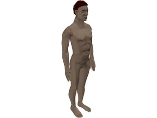 Man with Internal Organs 3D Model