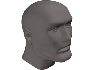 Head Male 3D Model