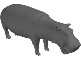 Hippopotamus 3D Model