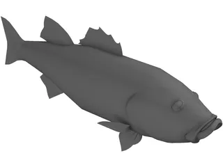 Fish 3D Model