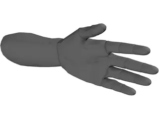 Hand Male 3D Model